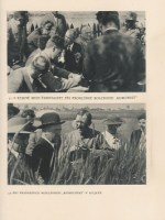 11974