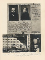 11978