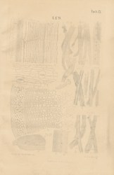13001