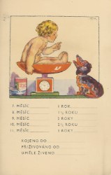 13491
