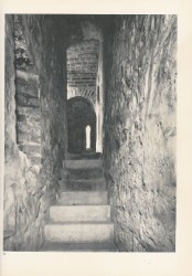 17461
