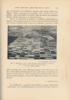 18361