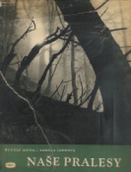18760