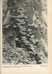 18761