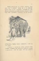 18805