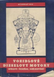 19251