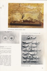 19367