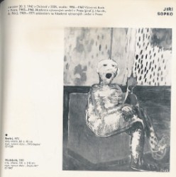 19602