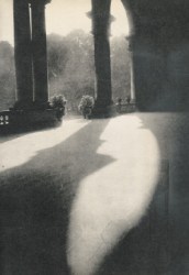 20116