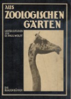 26027