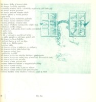 40481