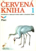 40944