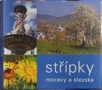 Nebyl vybrán žádný obrázek 