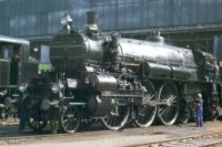 46231