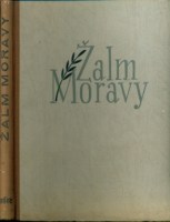48411