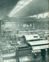 50646