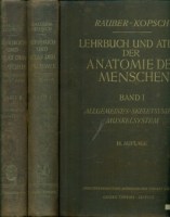 64567