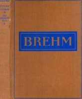 70654