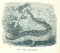 70820