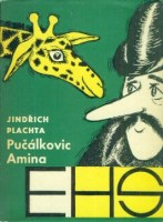 amina1