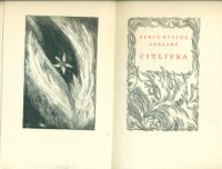 citlivka2