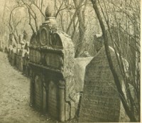 Nebyl vybrán žádný obrázek 