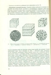 geo3