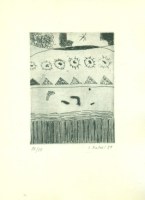 hynekmacha11