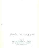 stibor