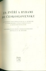 Nebyl vybrán žádný obrázek 